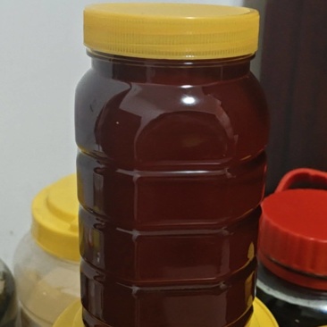 崀山纯正土蜂蜜