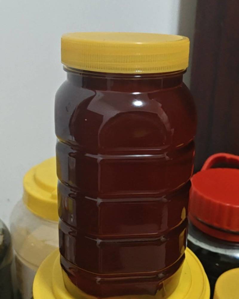 崀山纯正土蜂蜜