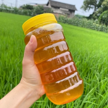 百花蜜野山花蜜农家自产土蜂蜜