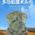 包邮夏季必不可少