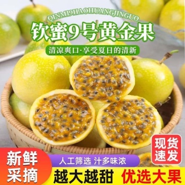 2025年钦蜜9号黄金百香果电商一件代发产地代办批发