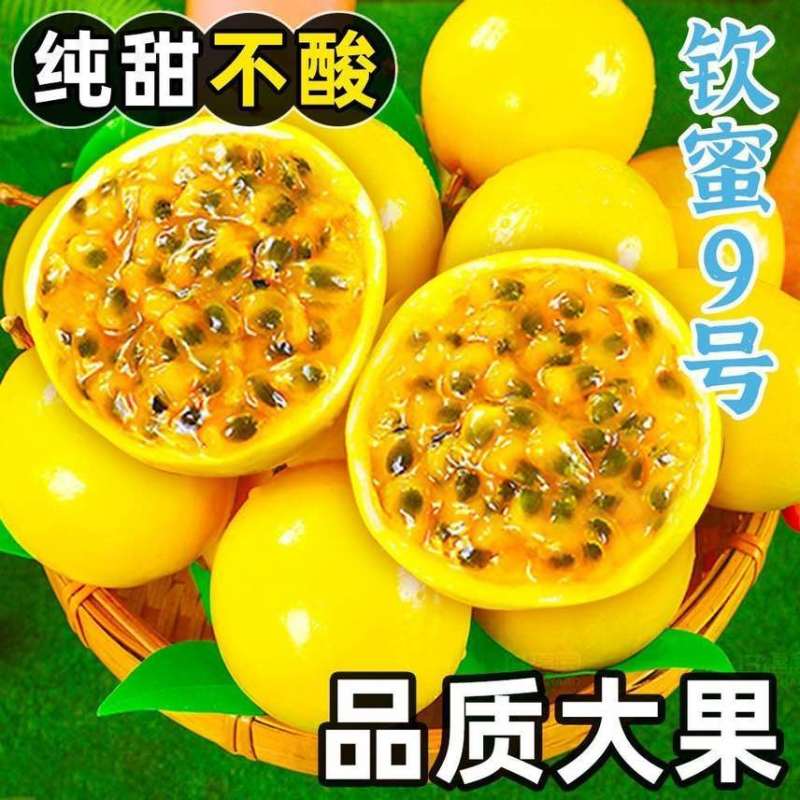 2025年钦蜜9号黄金百香果电商一件代发产地代办批发
