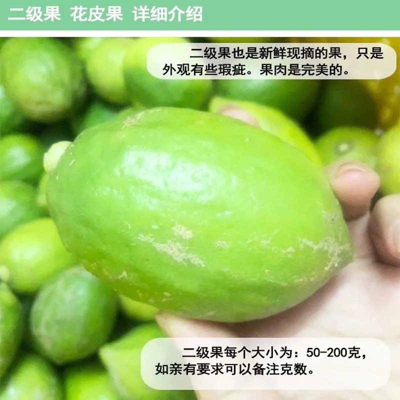 广东香水柠檬一级果二级果奶茶店无籽奶茶果园直发