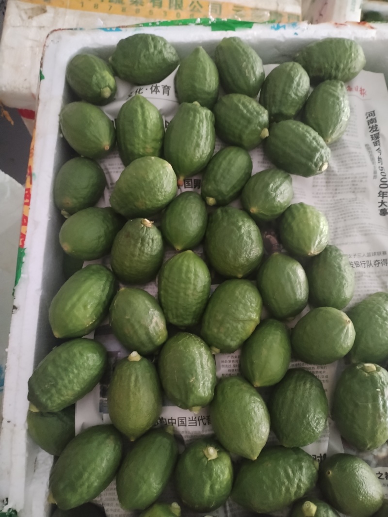 广东香水柠檬一级果二级果奶茶店无籽奶茶果园直发
