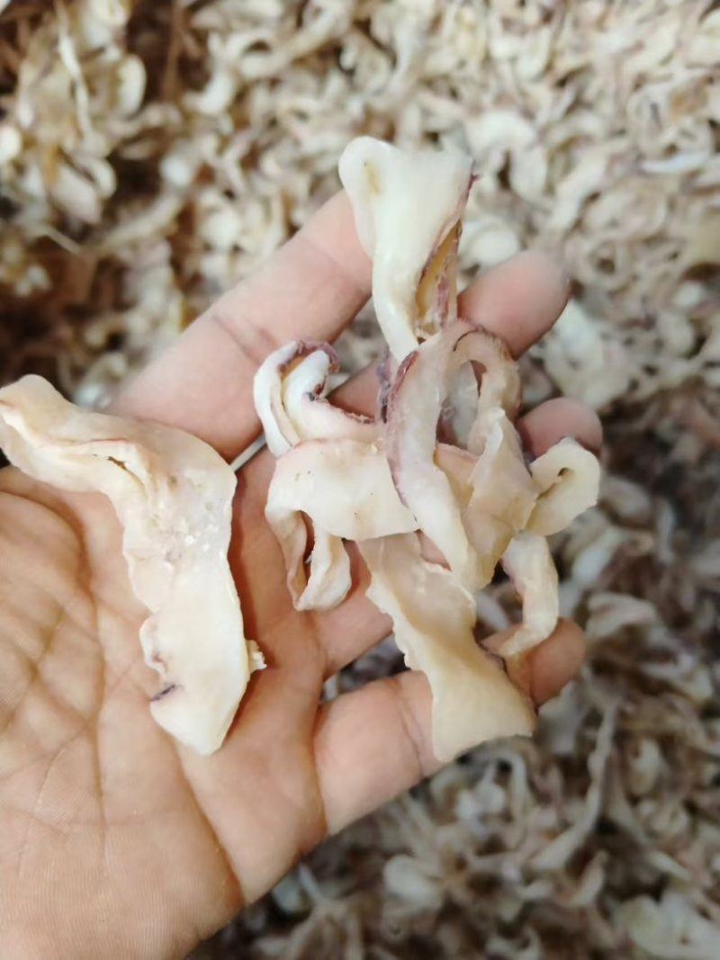 鱿鱼干边角料，鱿鱼条鱿鱼圈，食堂饭店地摊好食材鱿鱼干边角料批
