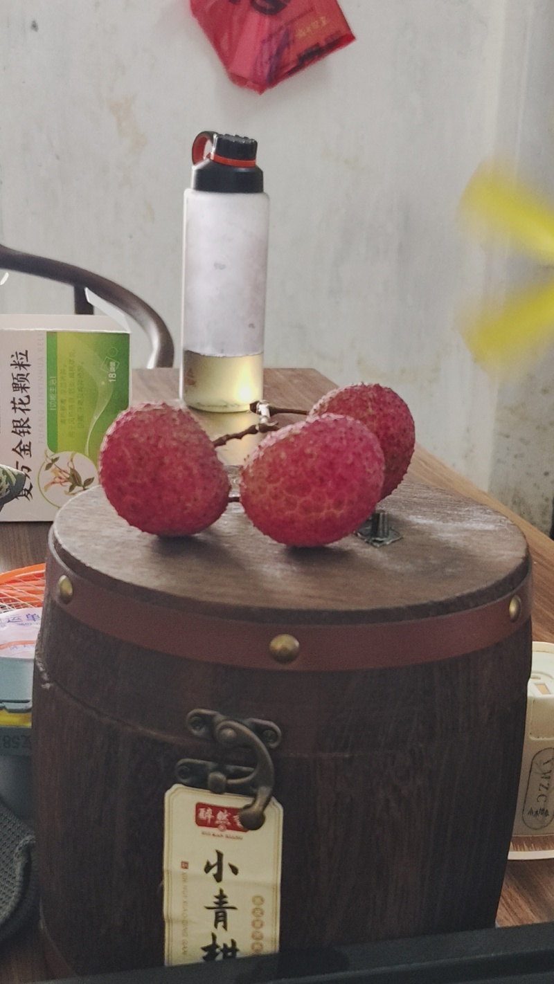 广东阳西鸡嘴荔枝
