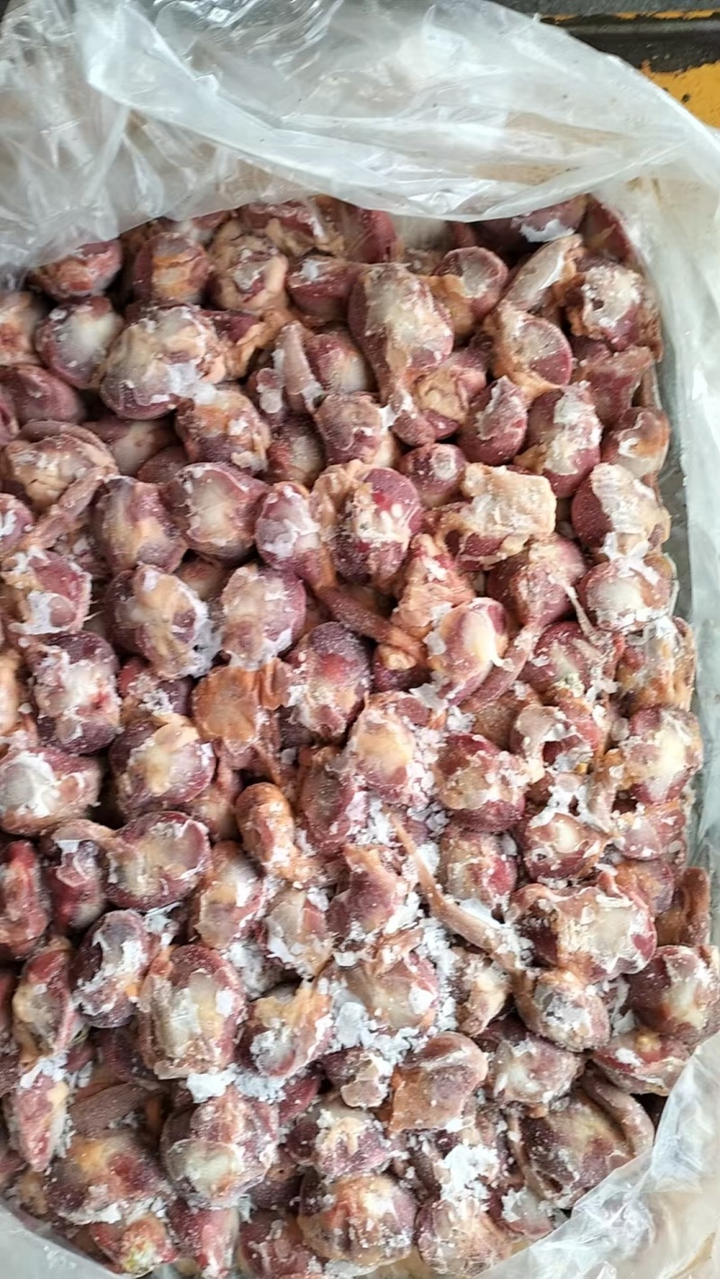 去食带麻鸭毛胗4-5吨