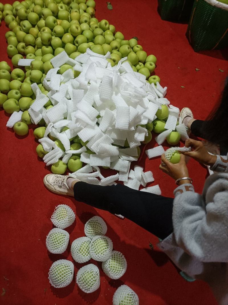 昭通糖心苹果