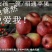 昭通糖心苹果