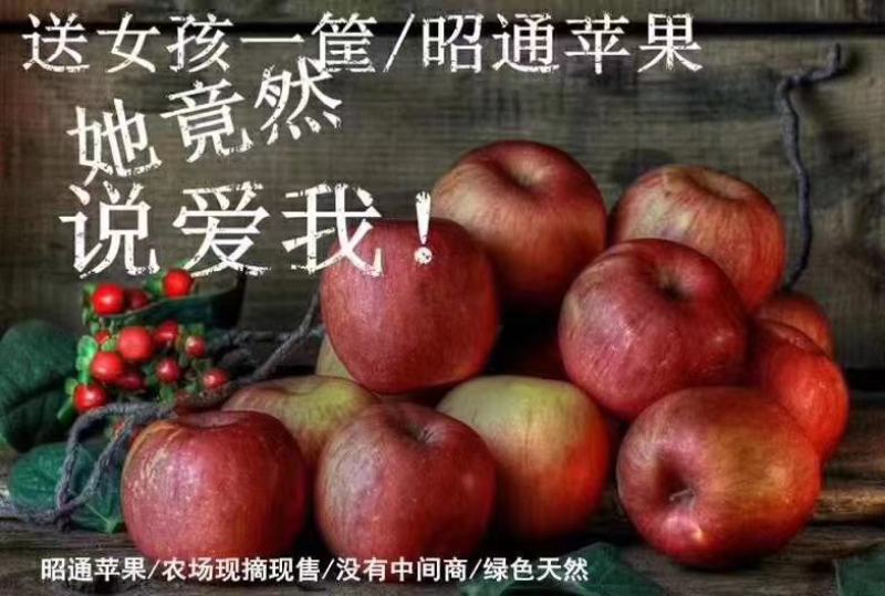 昭通糖心苹果