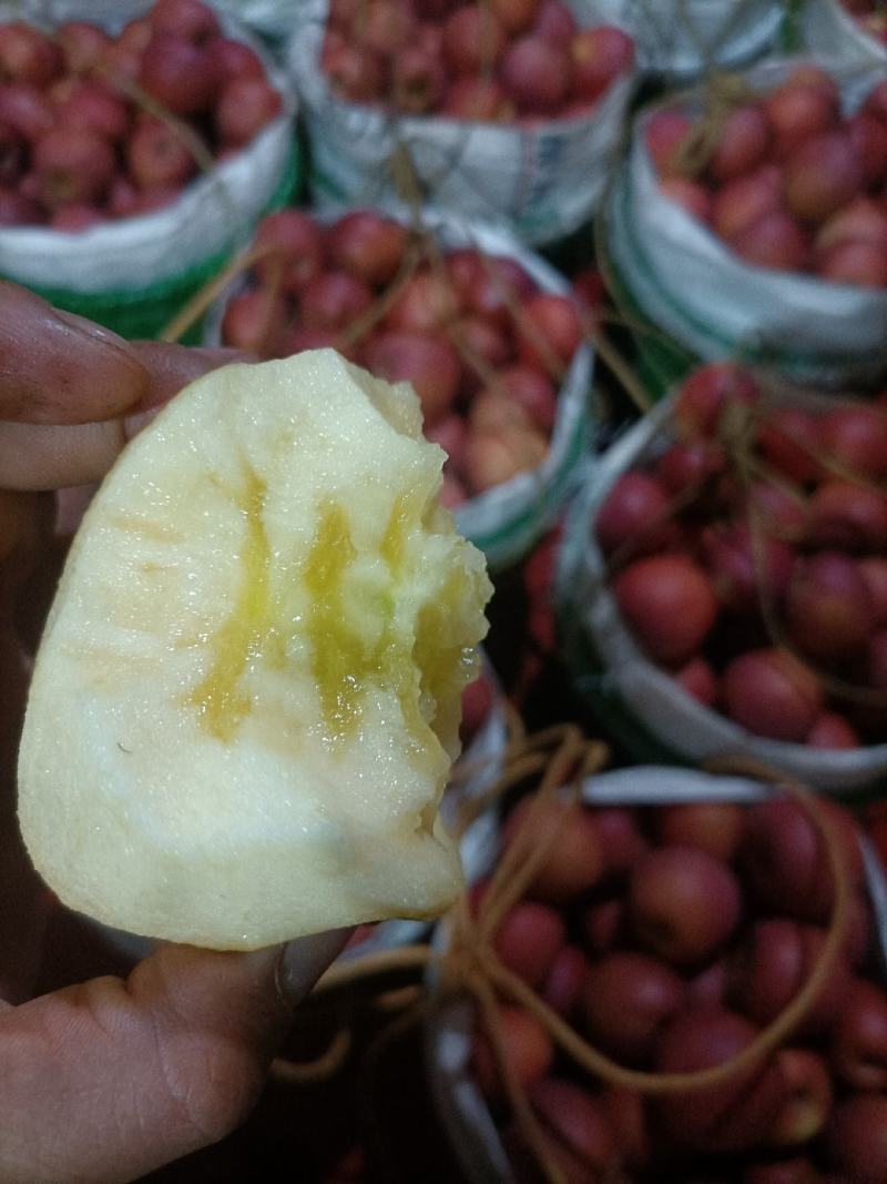 昭通糖心苹果