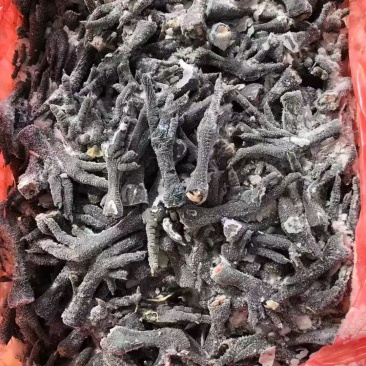 厂家乌鸡爪40g以上四吨