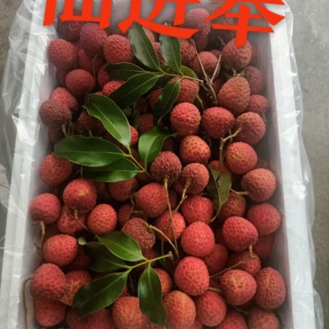 荔枝