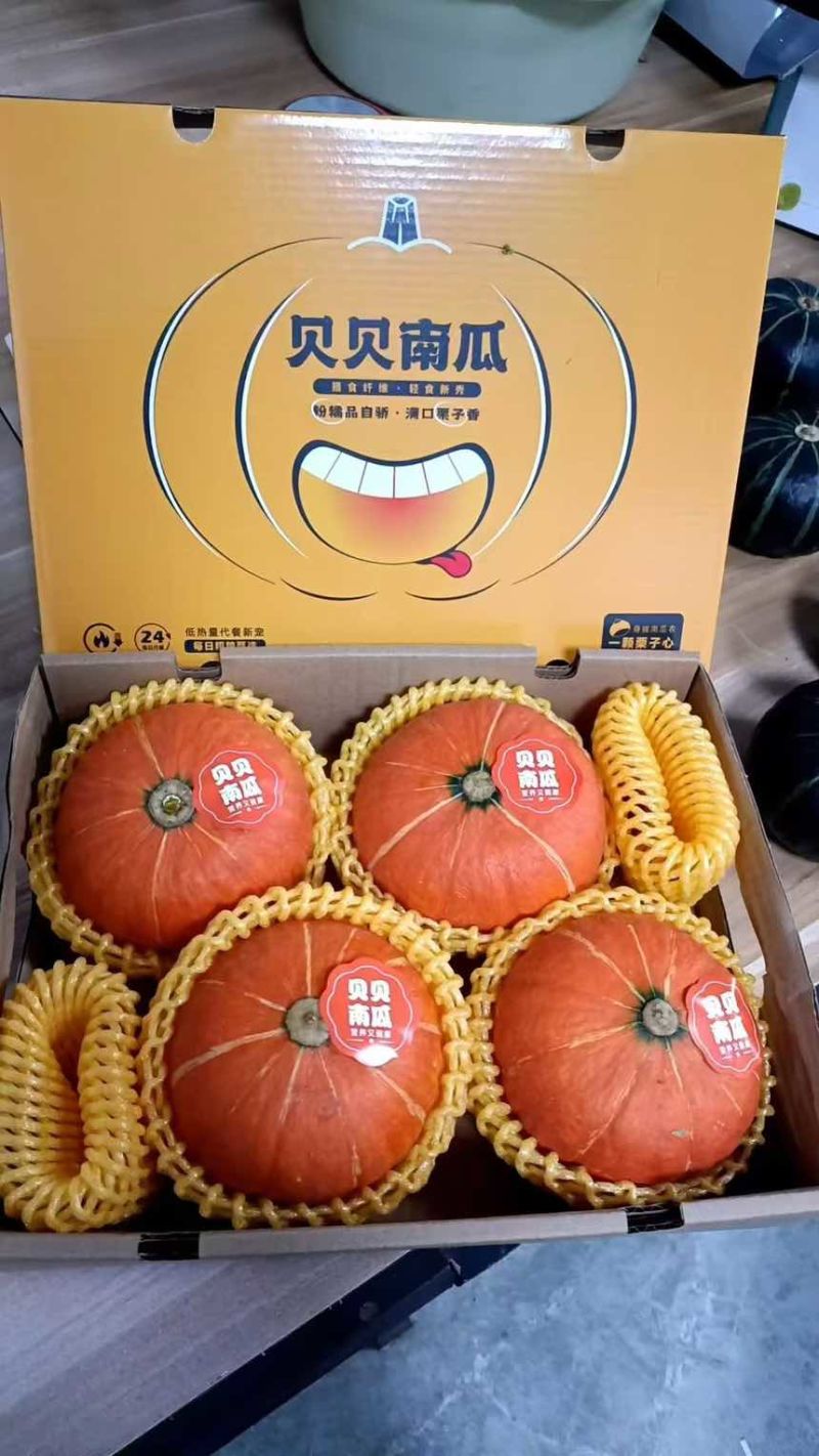 贝贝南瓜
