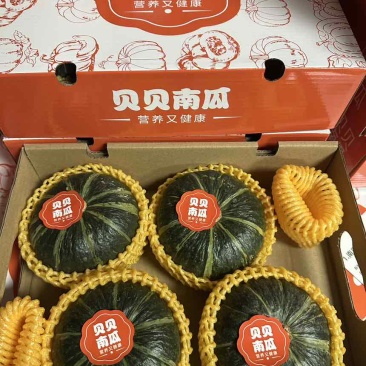 贝贝南瓜