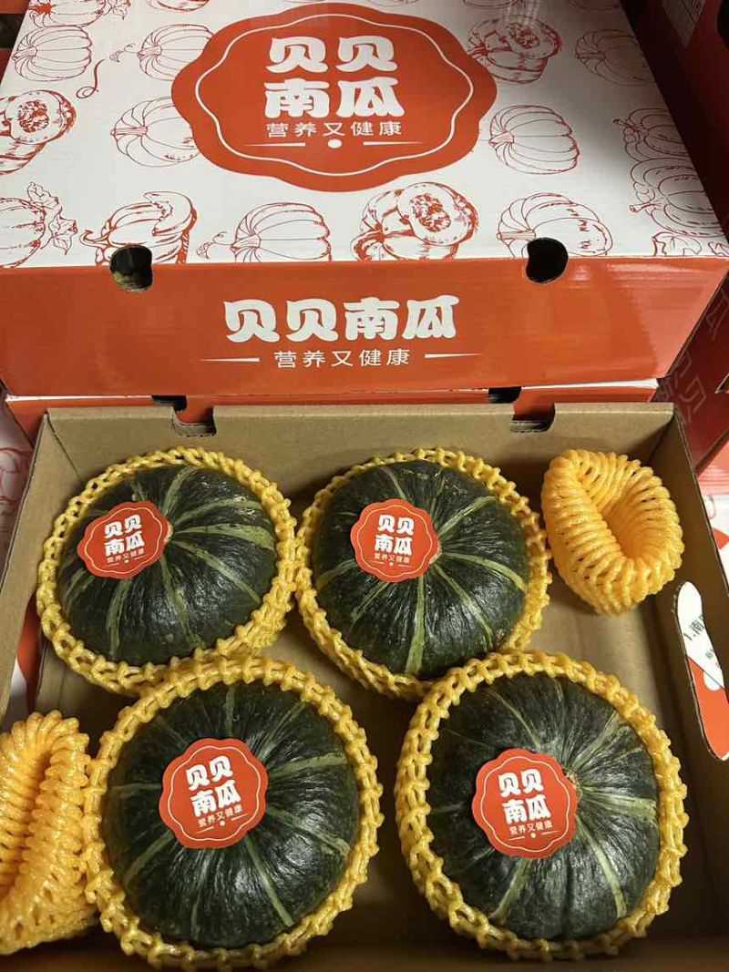贝贝南瓜