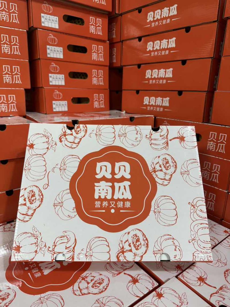 贝贝南瓜