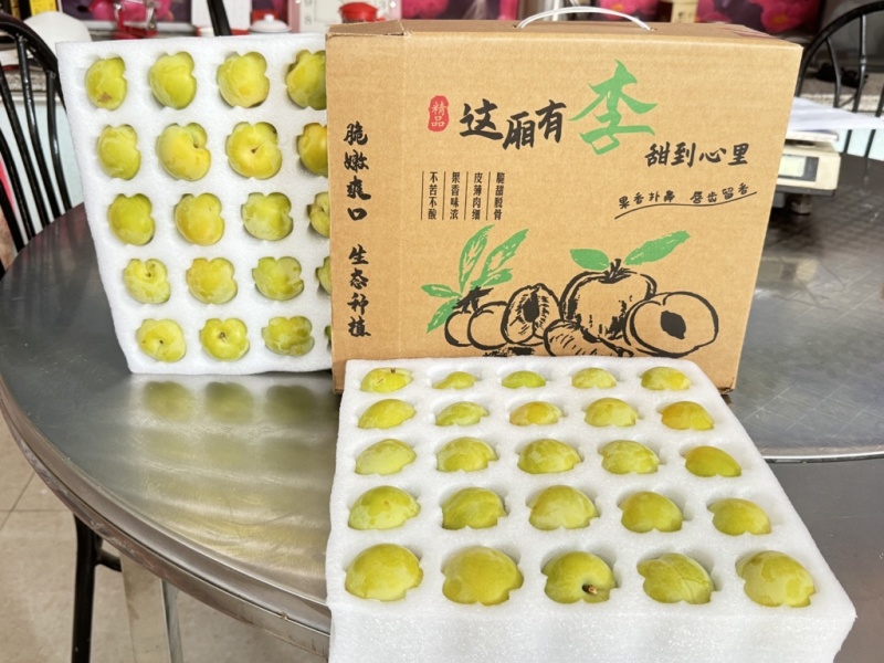 林州本地大黄李，离核，一掰两半，糖分含量很高