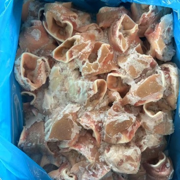 猪耳根