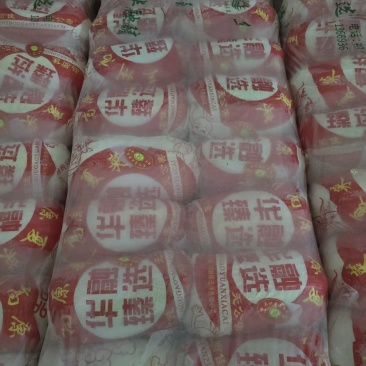 兰州娃娃菜