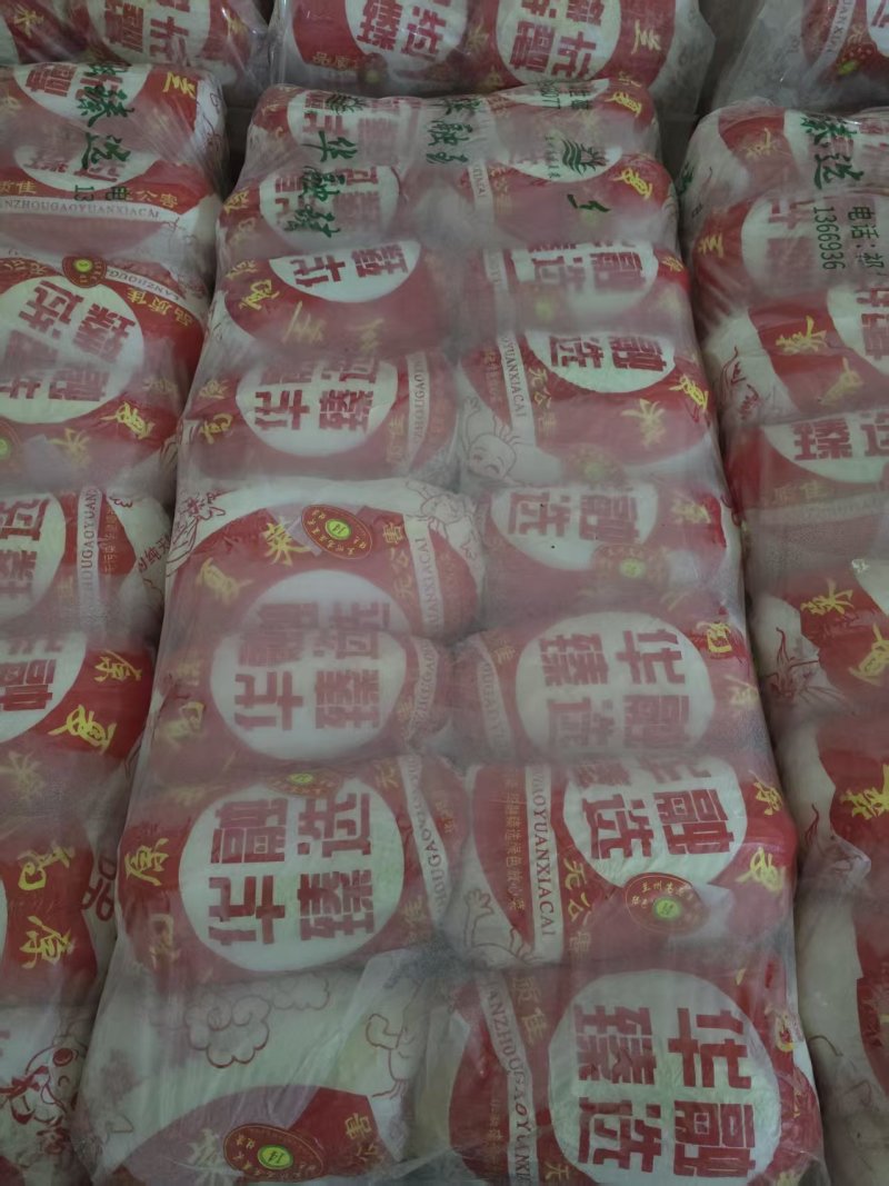 兰州娃娃菜