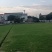 绿化草皮