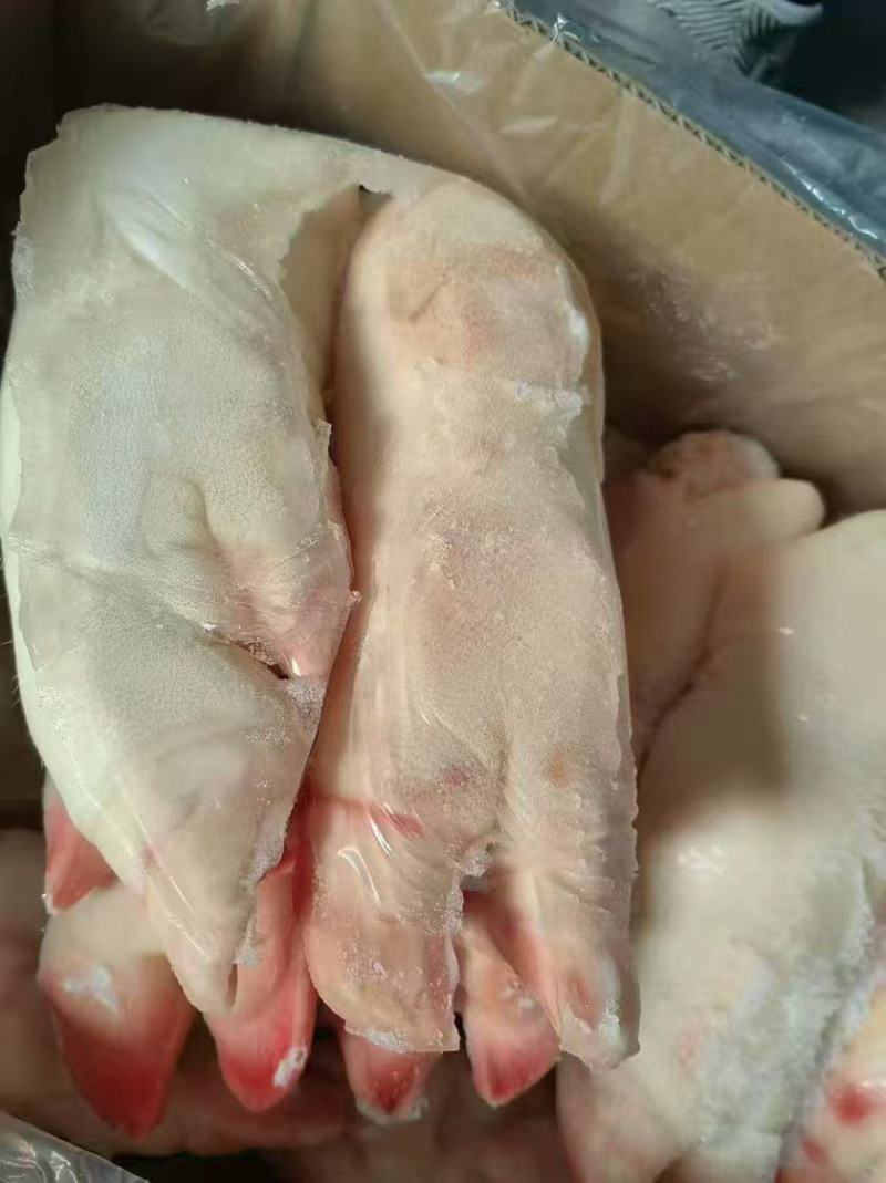 二级蹄