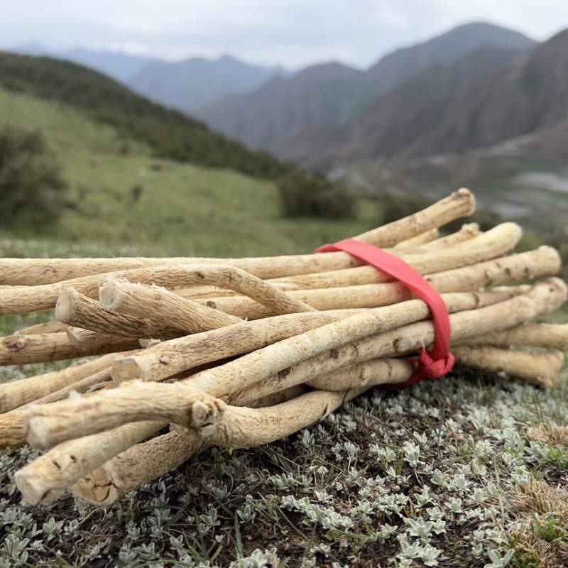 全网低价一手货源随时可聊新鲜黄芪等你来选购