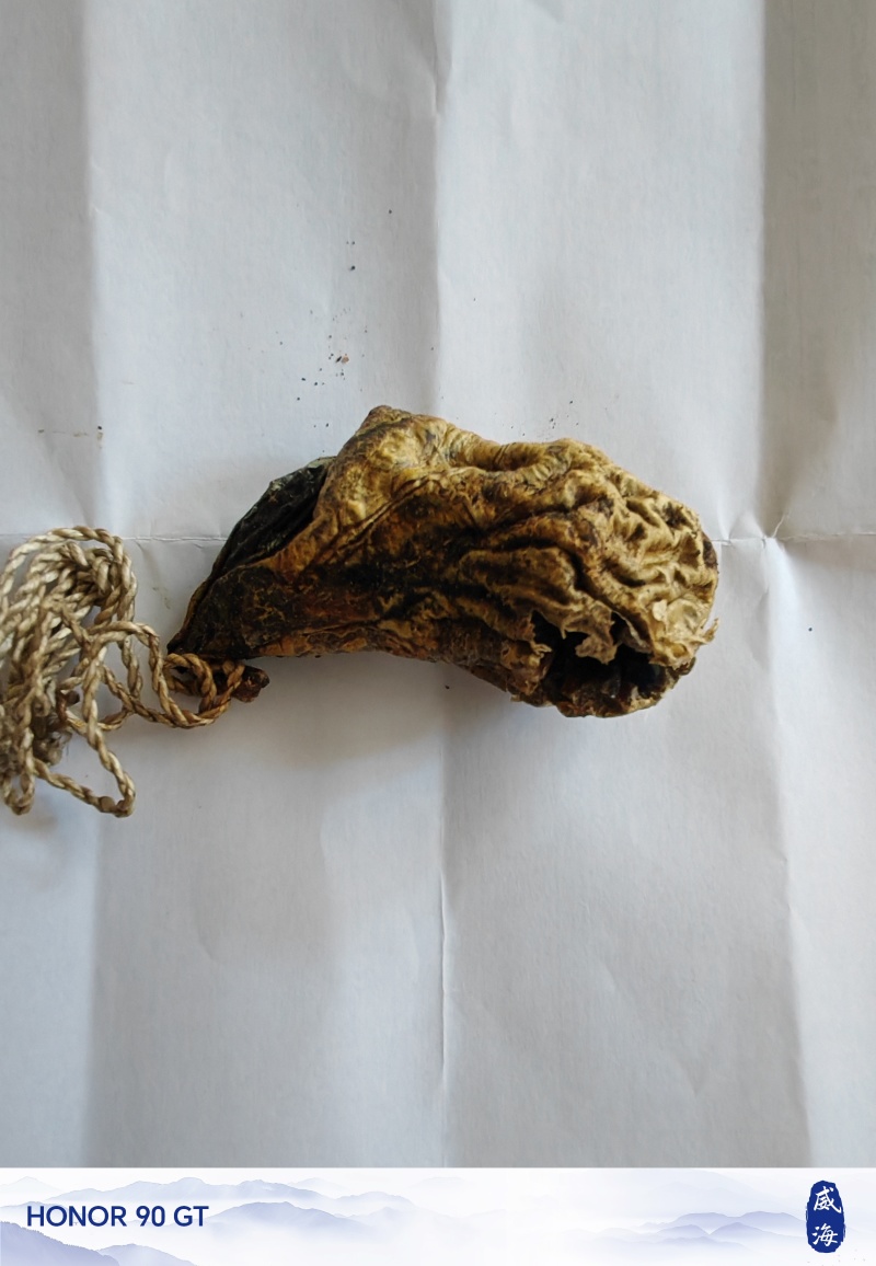 狗宝，天然狗宝，专家鉴定过