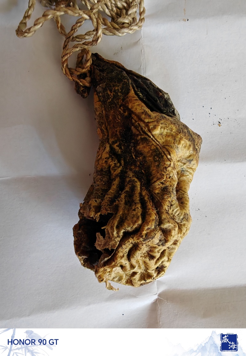 狗宝，天然狗宝，专家鉴定过