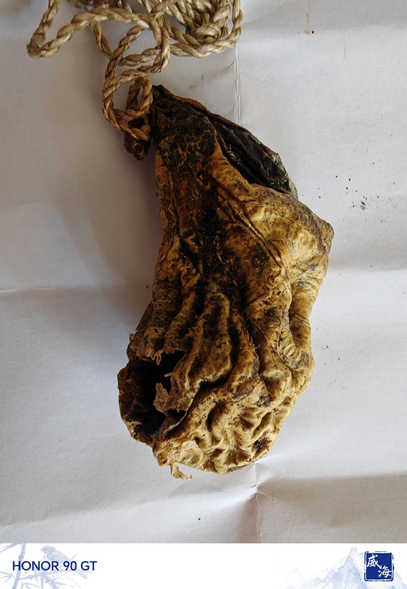 狗宝，天然狗宝，专家鉴定过