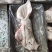 带耳猪头