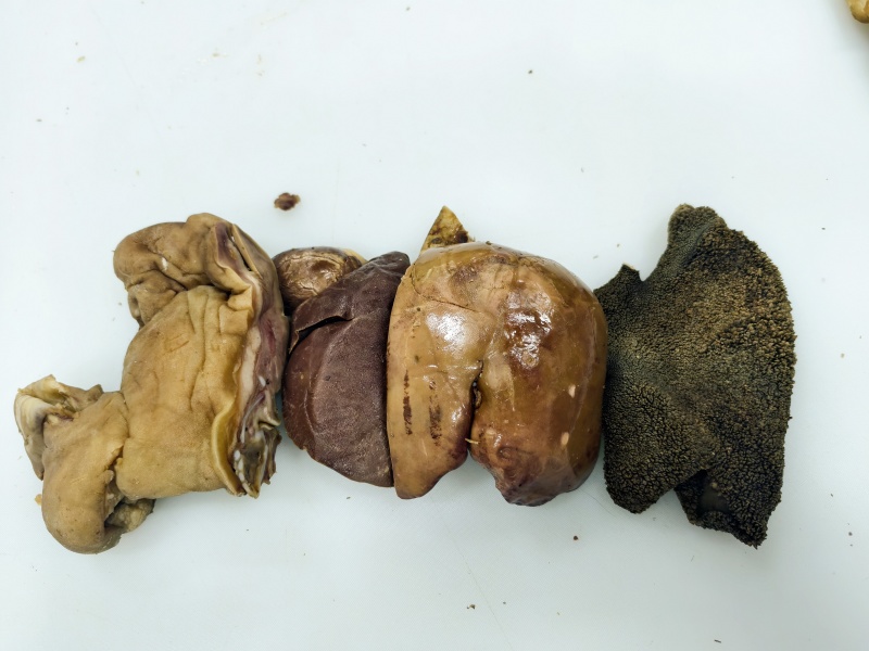 羊半套（订装产品）