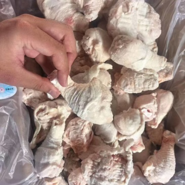 精品断骨琵琶腿，无淤血，水分低