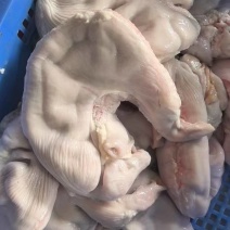 广东佛山新鲜猪肚对接全国市场商标，量大从优，欢迎采购！