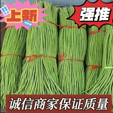 大量精选豆角产地直供！现摘现发保证质量不满意包退！