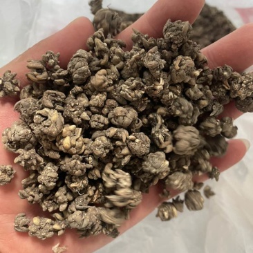 猫爪草产地直发黄皮黑皮各种尖爪统货