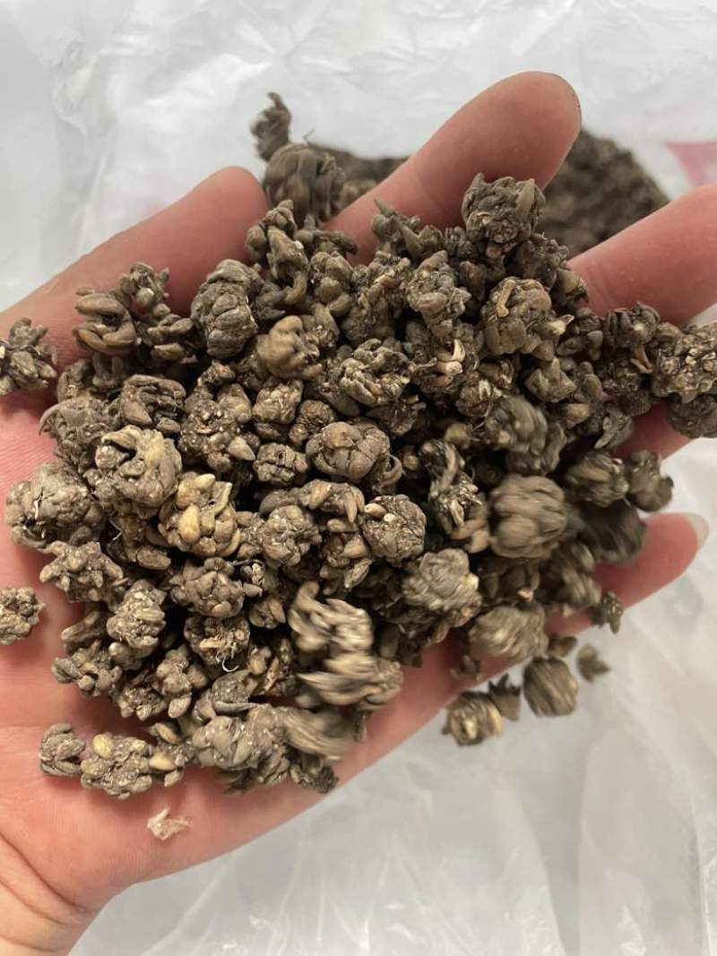猫爪草产地直发黄皮黑皮各种尖爪统货