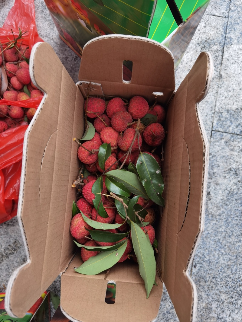 荔枝桂味糯米糍