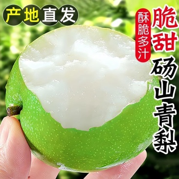 正宗源头砀山梨，电商一件代发！酥脆一号，皇冠梨6.25号现货