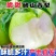 正宗源头砀山梨，电商一件代发！酥脆一号，皇冠梨6.25号现货