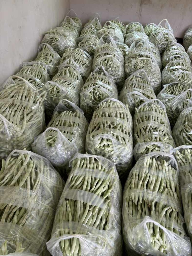 白豆