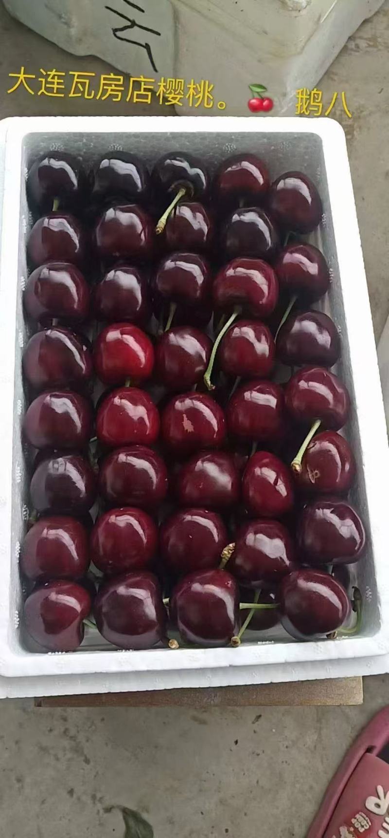 大连樱桃