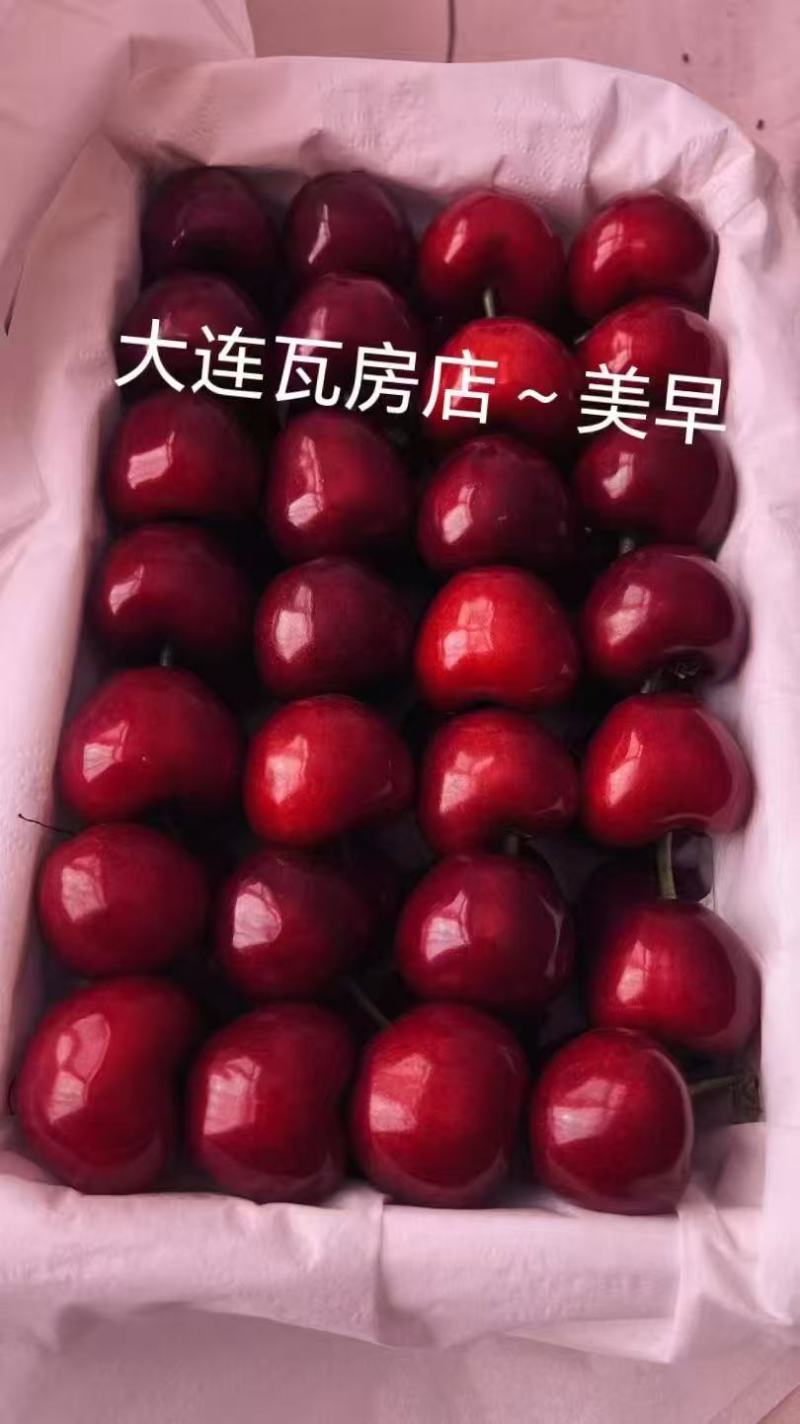 大连樱桃