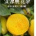 桃花李