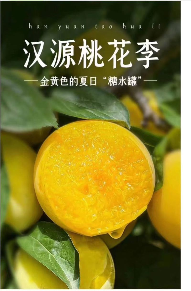 桃花李