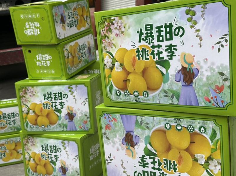 一件代发