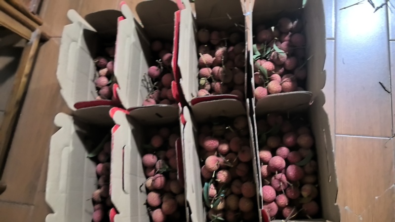 广东阳江双肩玉荷包荔枝