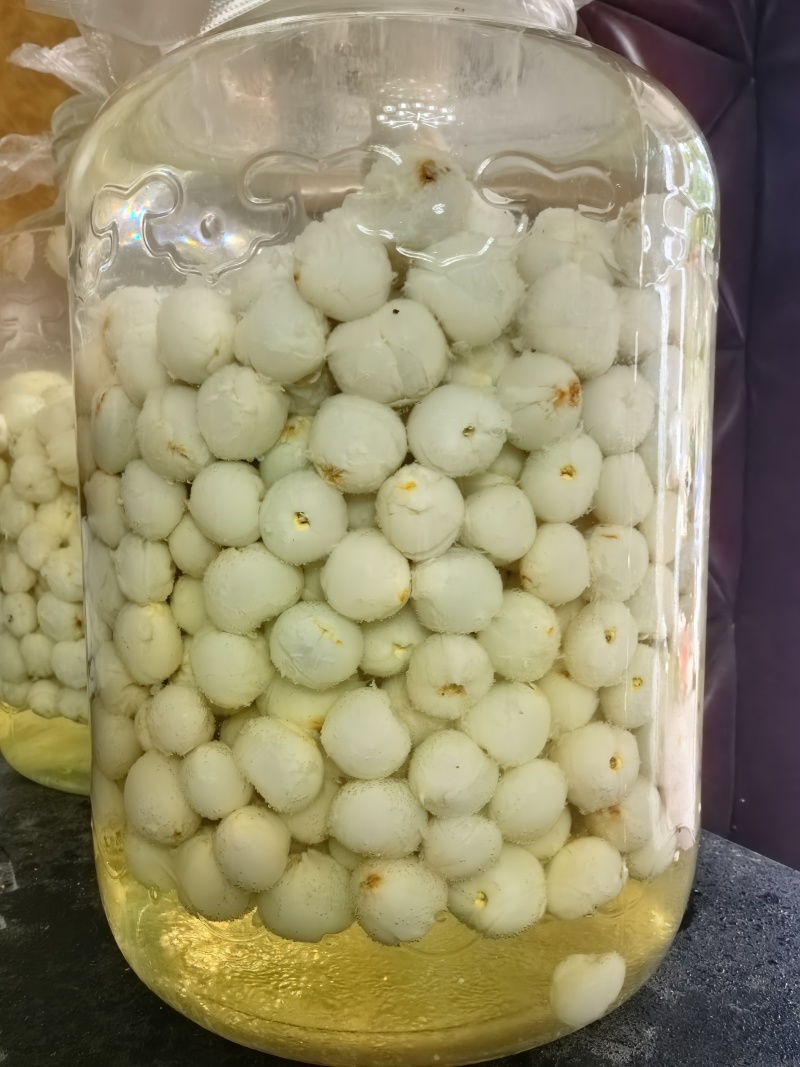 广东阳江双肩玉荷包荔枝