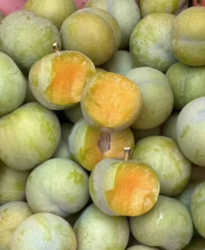 正宗贵州六马蜂糖李
